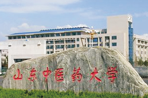 国产福利一区二区三区在线视频